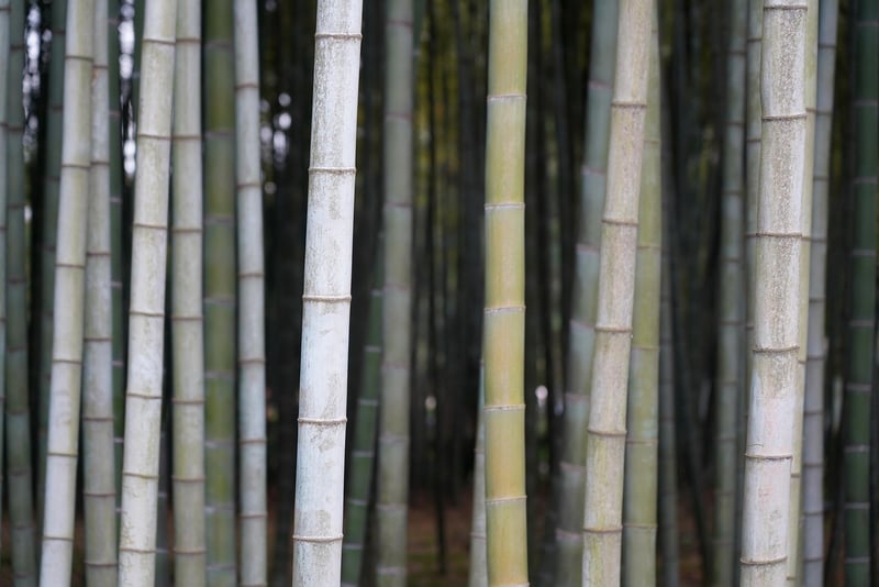 Sustainable materials